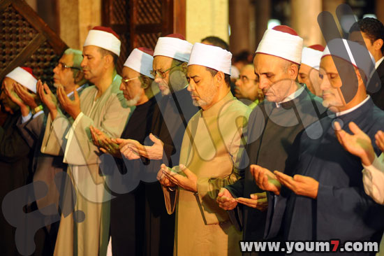 صورة شيخ الأزهر يحذر من النعرات الطائفية في الخليج