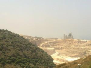 صورة برجا و ….. الوحش !!!