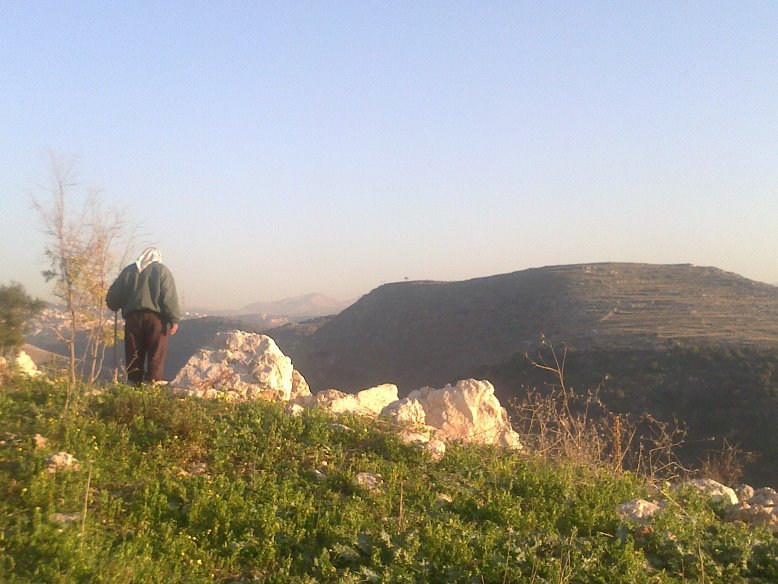 صورة 4424 زائراً لموقع  ebarja في شباط الفائت