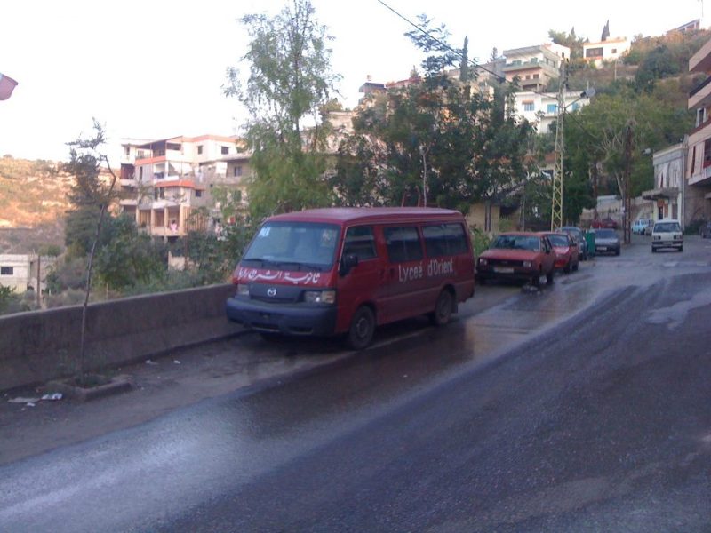 صورة زيبار الزيتون يجتاح طريق عين الزغير