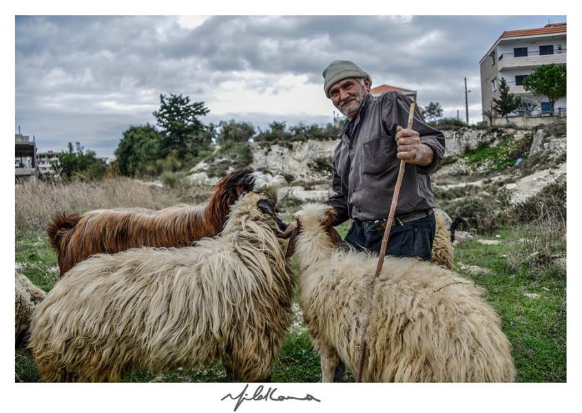 صورة ميلاد لمع … صورُهُ تهزُّ الأفئدة وتستنطق الجمال