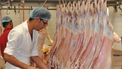 صورة المسلخ ضرورة منسية