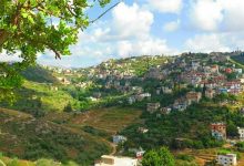 صورة برجا: ما لها وما عليها