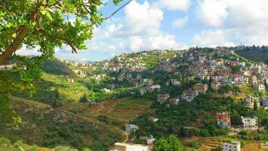 صورة برجا: ما لها وما عليها