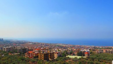 صورة من سِفْر الأنساب البرجاويّة: بيت شبُّو